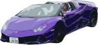 Purple Sports Car
