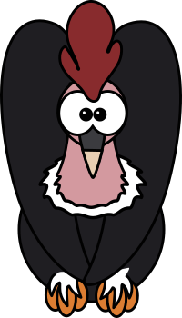 Andean Condor