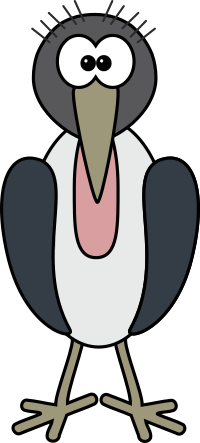 Marabou