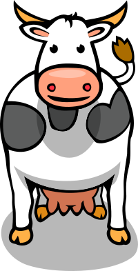 A grown up cow
