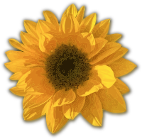 Fluffy Sunflower