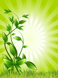 Green Frame Template