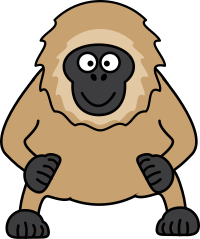 Gibbon