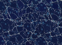 Bubble Water Background