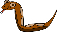 Boa Constrictor