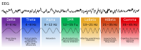 Brainwave Frequencies and Levels of Consciousness