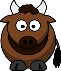 Bison