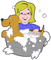 Girl Washing a Dog - Isolated Remix