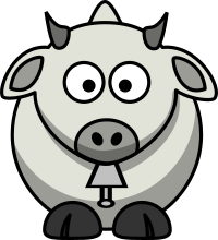 Zebu