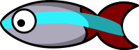 Neon tetra