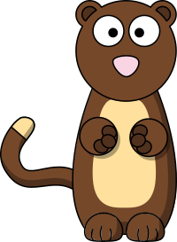 Ferret