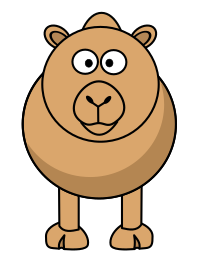 Camel