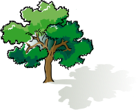 colored oak tree