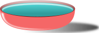 Bowl of Soup