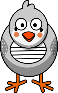 Zebra Finch