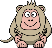 Macaque