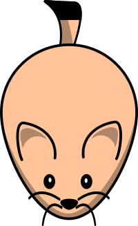 Prairie Dog