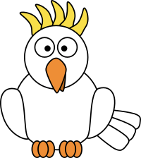 Cockatoo