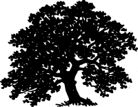 Tree silhouette