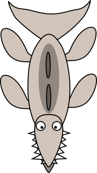 Alligator Gar
