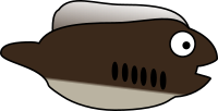Haikouichthys