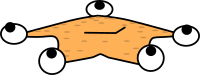 Cartoon Starfish laying down