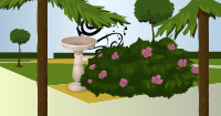 Park
