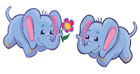 Elephants Sharing a Flower