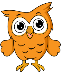 Cute Animals - Owl Isolated