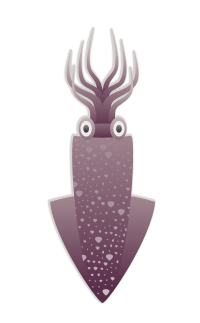 Squid - Isolated