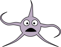 Brittle Star