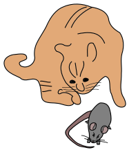 Cat with a Mouse - Remix