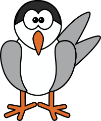 Tern