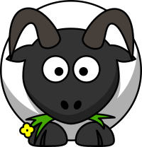 Ram