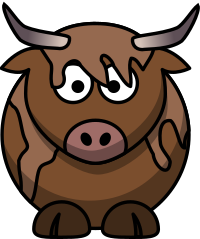 Highland Cow
