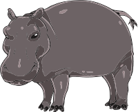 Hippopotamus
