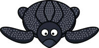 Leatherback Sea Turtle
