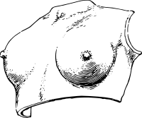 Breastplate