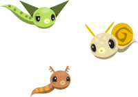 Sea Slugs