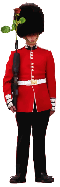 Buckingham Palace Guard with Roses
