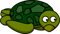 Sea Turtle's Side