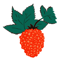 Raspberry