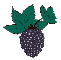 Blackberry - Remix