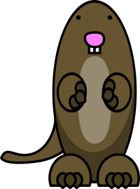Blind Mole Rat