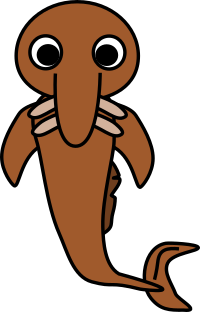 Sturgeon