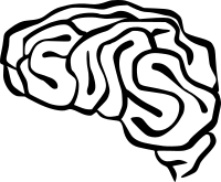 brain 02