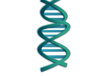 DNA
