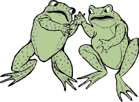 two frogs