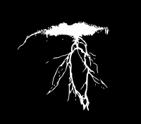 lightning 05