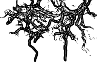 lightning 07